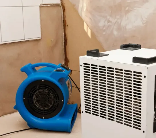 Scherrer AG - Bodenbeläge - Teppich - Teppichboden - textile Bodenbeläge - Vinyl - PVC - Kautschuk - elastische Bodenbeläge - Parkett - Holzboden - Echtholz - Laminat - Laminatboden - Holzoptik - Reinigungsmittel - Reinigungslösungen - Hygiene - Bauaustrocknung - Bautrocknung - Entfeuchtung - Showroom - Ausstellung - Produktpräsentation - Kundenservice