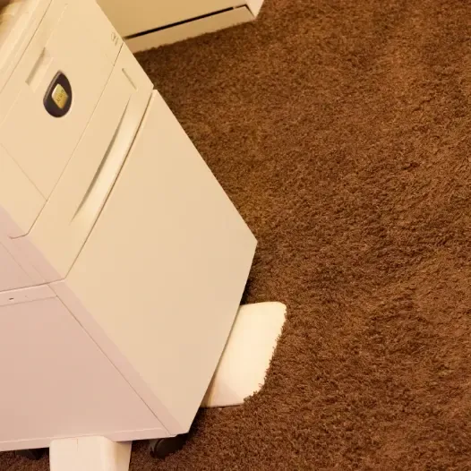 Scherrer AG - Bodenbeläge - Teppich - Teppichboden - textile Bodenbeläge - Vinyl - PVC - Kautschuk - elastische Bodenbeläge - Parkett - Holzboden - Echtholz - Laminat - Laminatboden - Holzoptik - Reinigungsmittel - Reinigungslösungen - Hygiene - Bauaustrocknung - Bautrocknung - Entfeuchtung - Showroom - Ausstellung - Produktpräsentation - Kundenservice