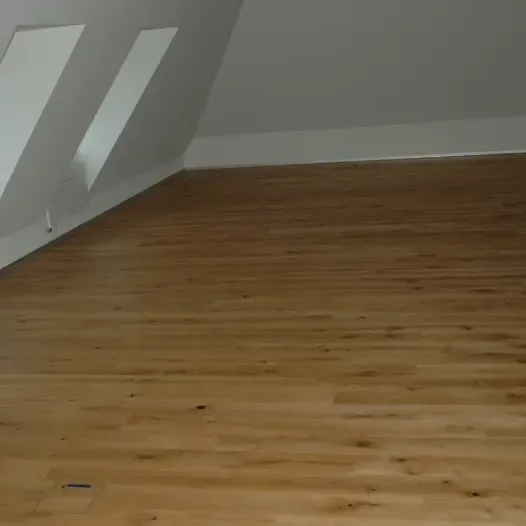 Scherrer AG - Bodenbeläge - Teppich - Teppichboden - textile Bodenbeläge - Vinyl - PVC - Kautschuk - elastische Bodenbeläge - Parkett - Holzboden - Echtholz - Laminat - Laminatboden - Holzoptik - Reinigungsmittel - Reinigungslösungen - Hygiene - Bauaustrocknung - Bautrocknung - Entfeuchtung - Showroom - Ausstellung - Produktpräsentation - Kundenservice