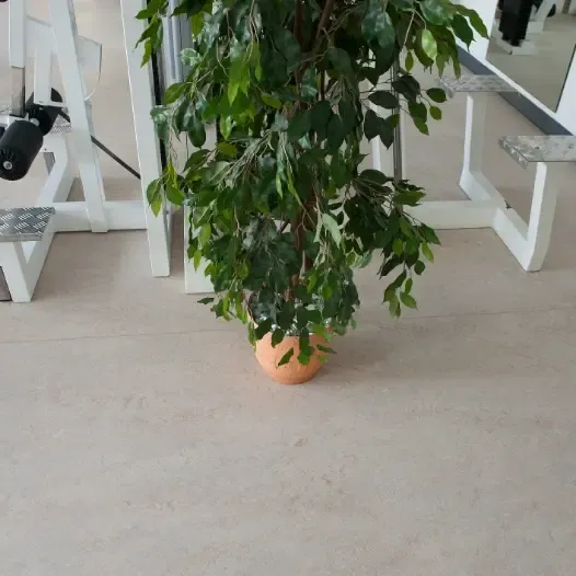 Scherrer AG - Bodenbeläge - Teppich - Teppichboden - textile Bodenbeläge - Vinyl - PVC - Kautschuk - elastische Bodenbeläge - Parkett - Holzboden - Echtholz - Laminat - Laminatboden - Holzoptik - Reinigungsmittel - Reinigungslösungen - Hygiene - Bauaustrocknung - Bautrocknung - Entfeuchtung - Showroom - Ausstellung - Produktpräsentation - Kundenservice