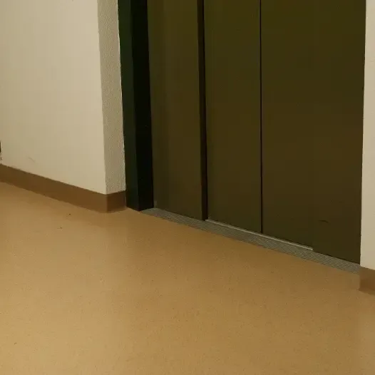 Scherrer AG - Bodenbeläge - Teppich - Teppichboden - textile Bodenbeläge - Vinyl - PVC - Kautschuk - elastische Bodenbeläge - Parkett - Holzboden - Echtholz - Laminat - Laminatboden - Holzoptik - Reinigungsmittel - Reinigungslösungen - Hygiene - Bauaustrocknung - Bautrocknung - Entfeuchtung - Showroom - Ausstellung - Produktpräsentation - Kundenservice